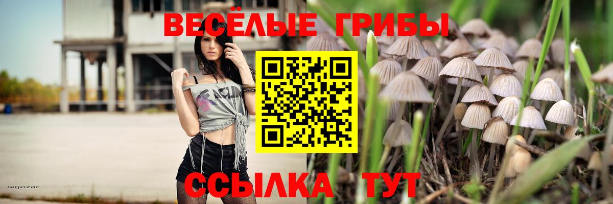 Псилоцибиновые грибы MAGIC MUSHROOMS Альметьевск
